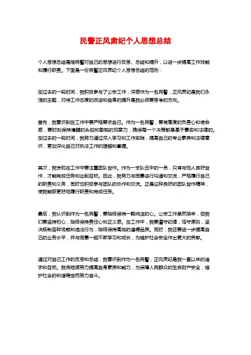 民警正风肃纪个人思想总结
