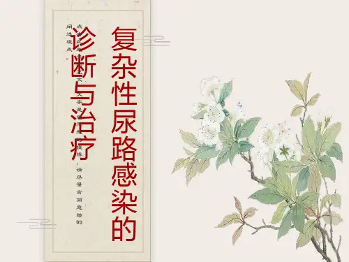 复杂性尿路感染的诊断与治疗