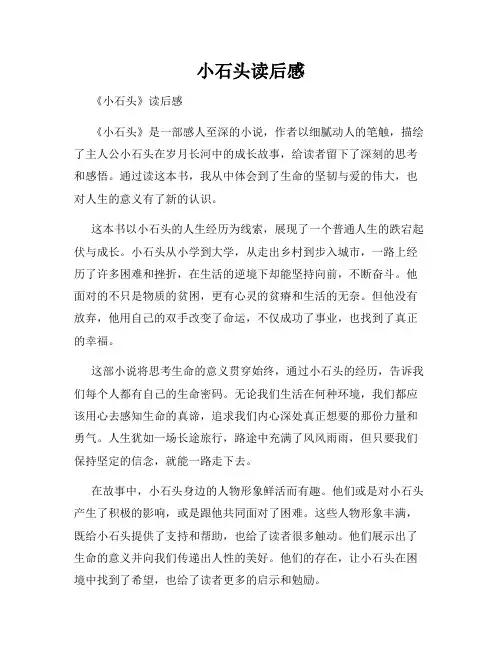 小石头读后感