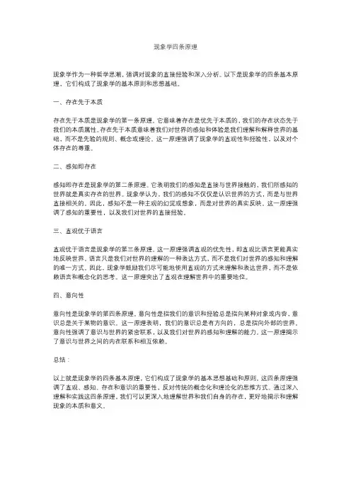现象学四条原理