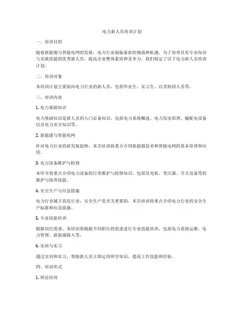 电力新人员培训计划