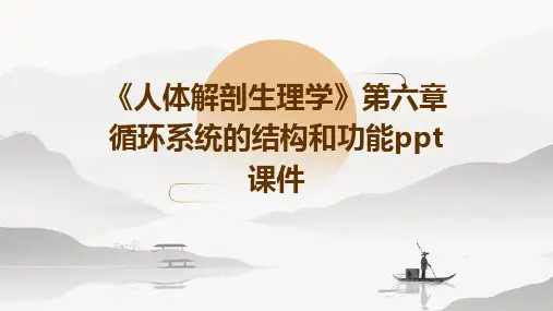 《人体解剖生理学》第六章循环系统的结构和功能ppt课件