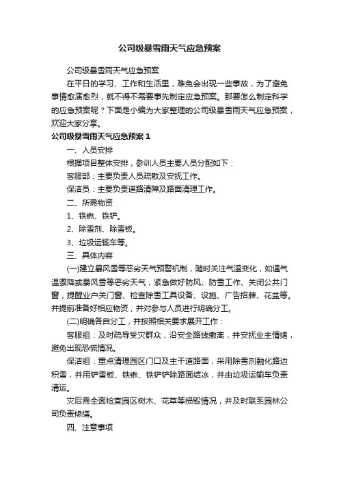 公司级暴雪雨天气应急预案
