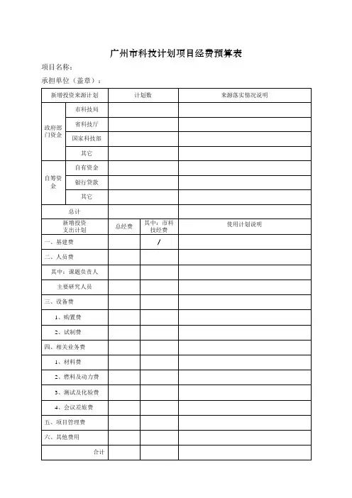 计划项目经费预算表