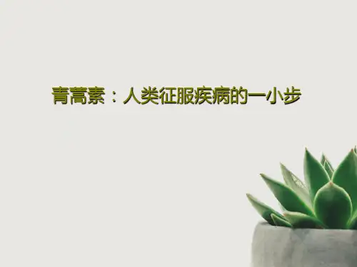 青蒿素:人类征服疾病的一小步共22页