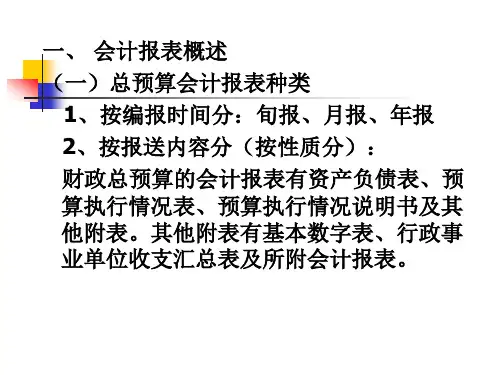 总预算会计报表