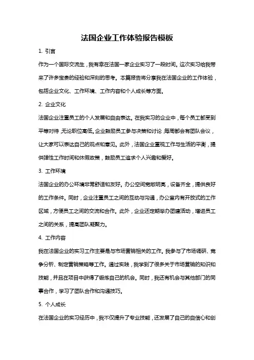 法国企业工作体验报告模板