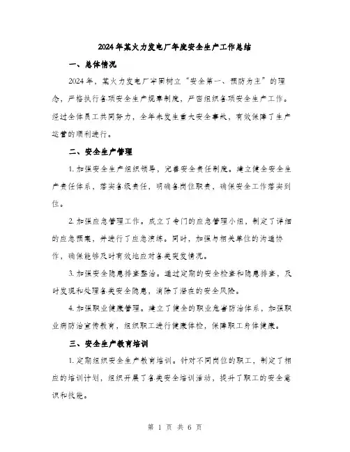 2024年某火力发电厂年度安全生产工作总结（2篇）