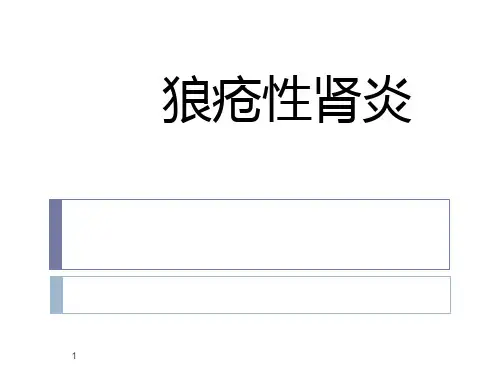 狼疮性肾炎PPT课件