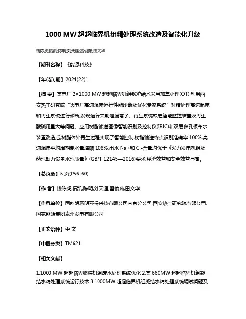 1000 MW超超临界机组精处理系统改造及智能化升级