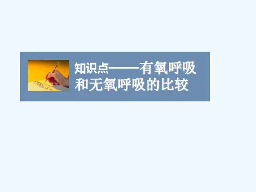 知识点-有氧呼吸和无氧呼吸的比拟