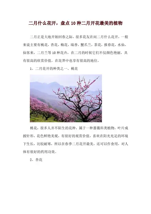 二月什么花开,盘点10种二月开花最美的植物