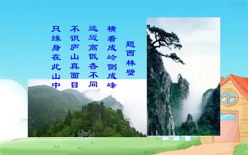 《观察物体》公开课课件