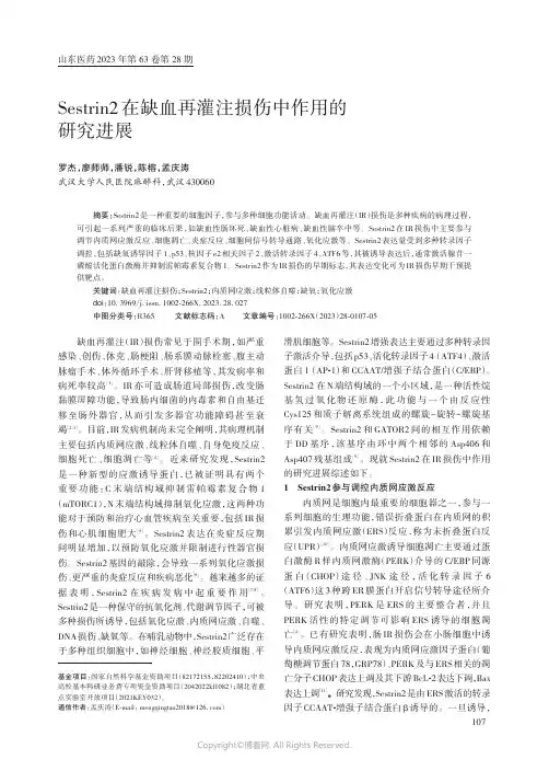 Sestrin2_在缺血再灌注损伤中作用的研究进展