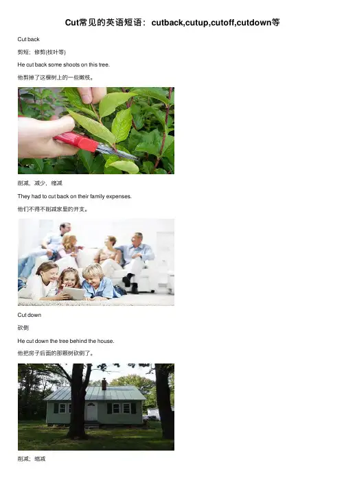 Cut常见的英语短语：cutback,cutup,cutoff,cutdown等