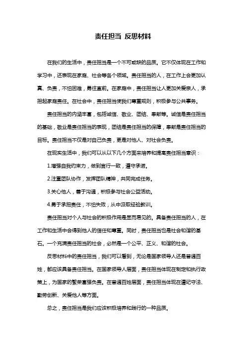 责任担当 反思材料