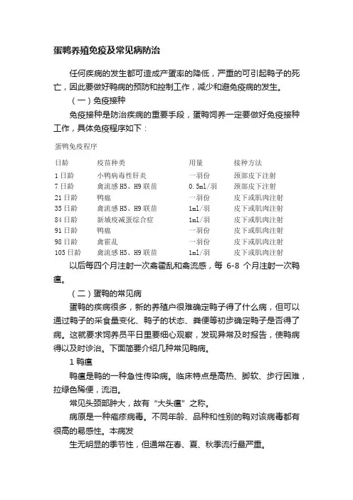 蛋鸭养殖免疫及常见病防治