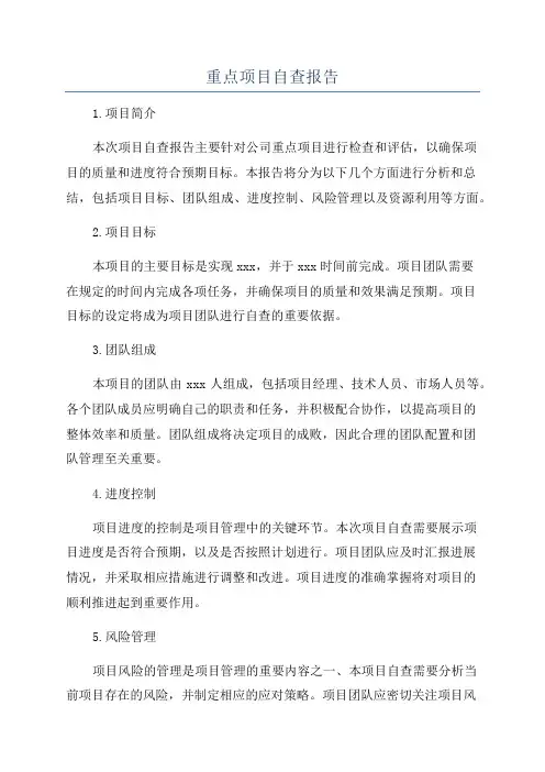 重点项目自查报告