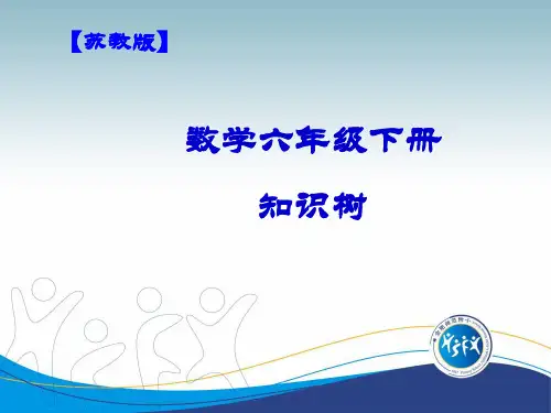 苏教版六年级数学下册《知识树》课件