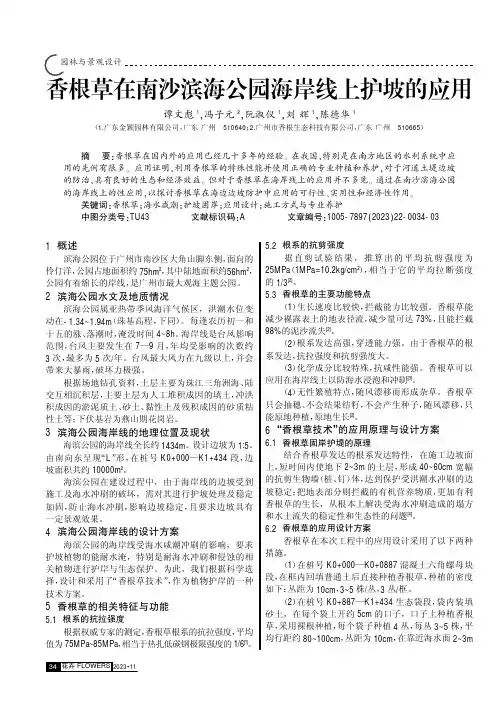 香根草在南沙滨海公园海岸线上护坡的应用