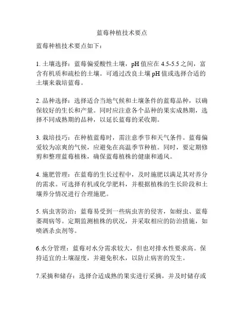 蓝莓种植技术要点