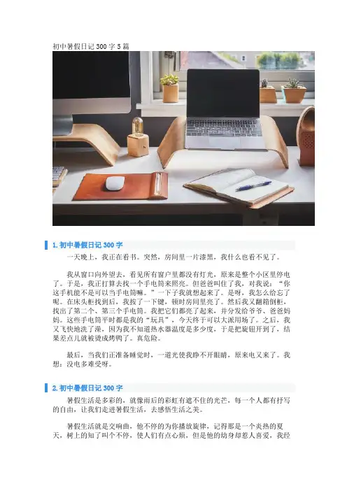 初中暑假日记300字5篇