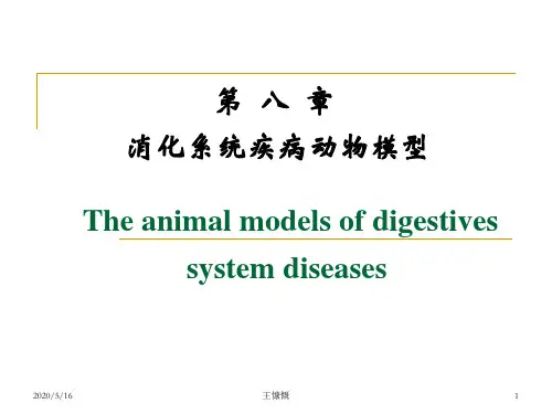 消化系统疾病动物模型