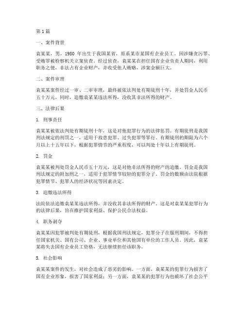 袁某某案件法律后果(3篇)