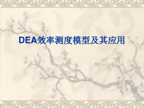 DEA方法介绍ppt课件
