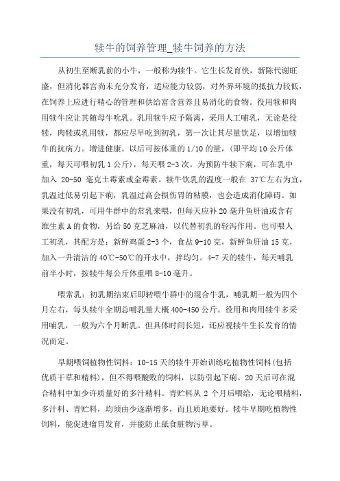 犊牛的饲养管理_犊牛饲养的方法