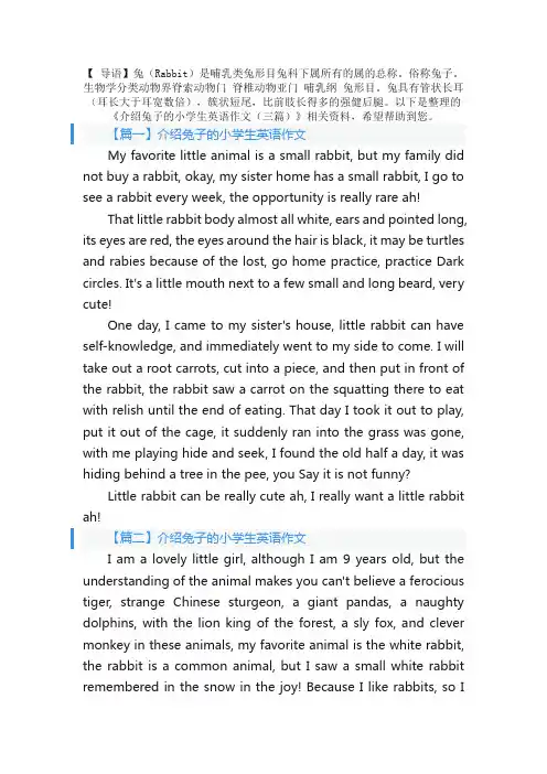 介绍兔子的小学生英语作文（三篇）