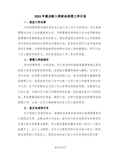 2024年酒店新入职财务经理工作计划(二篇)