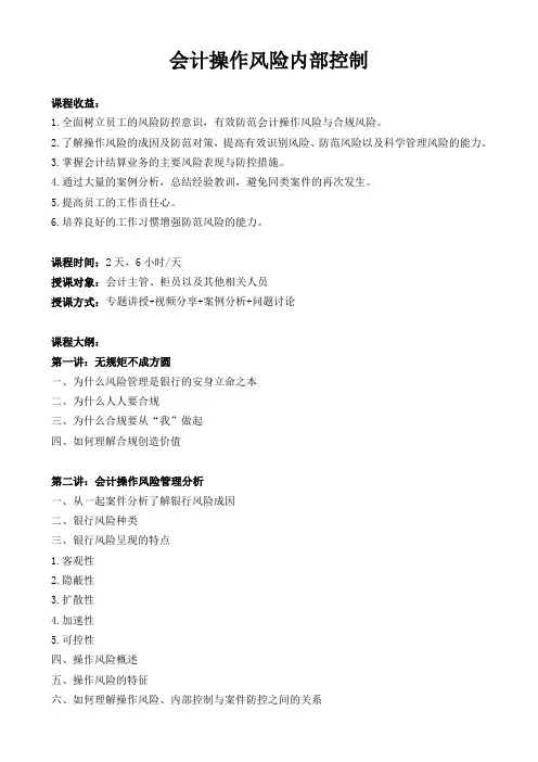 汤红《会计操作风险内部控制(两天版)》
