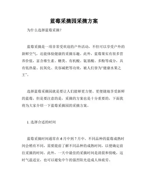 蓝莓采摘园采摘方案
