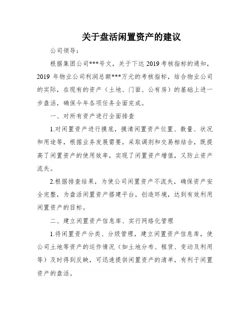 关于盘活闲置资产的建议
