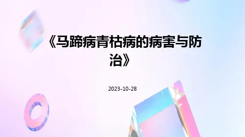 马蹄病青枯病的病害与防治