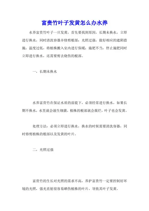 富贵竹叶子发黄怎么办水养