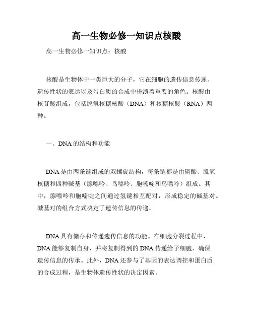 高一生物必修一知识点核酸