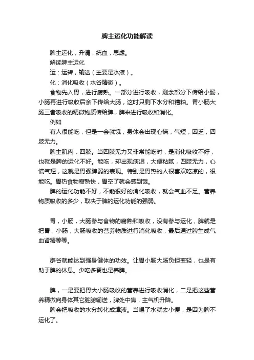 脾主运化功能解读