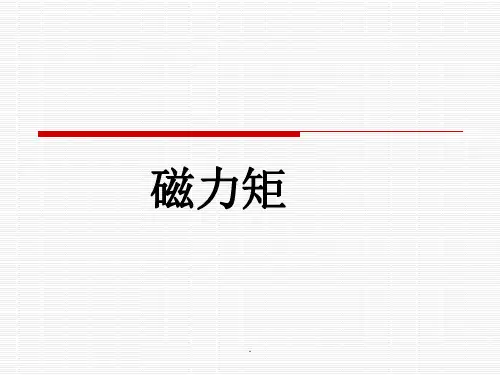 磁力矩