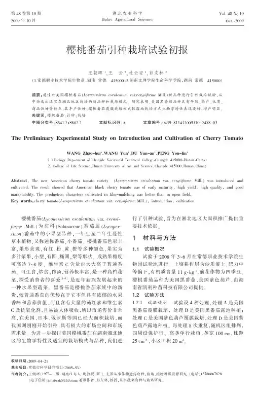 樱桃番茄引种栽培试验初报
