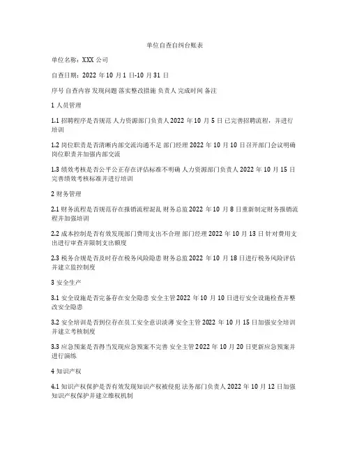 单位自查自纠台账表