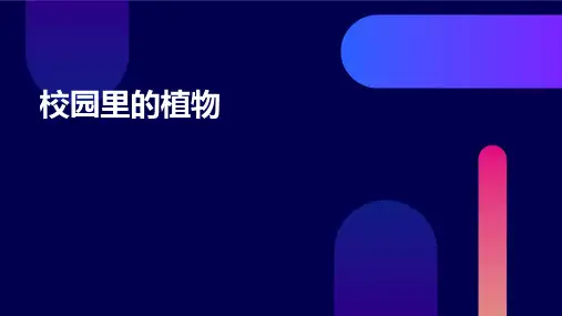 校园里的植物课件