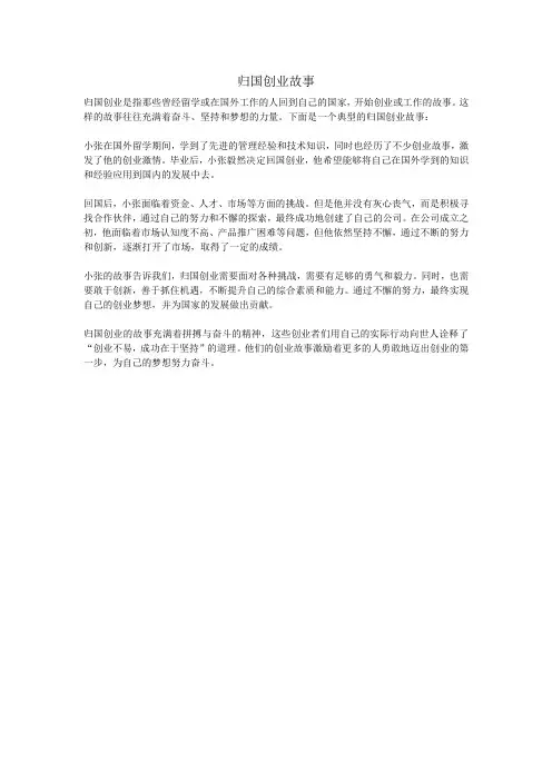 归国创业故事