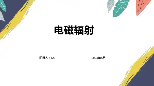 电磁辐射精品文档