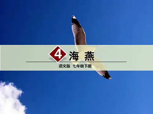 语文(语文版)七年级下册4 《海燕》  (共32张PPT)精编课件