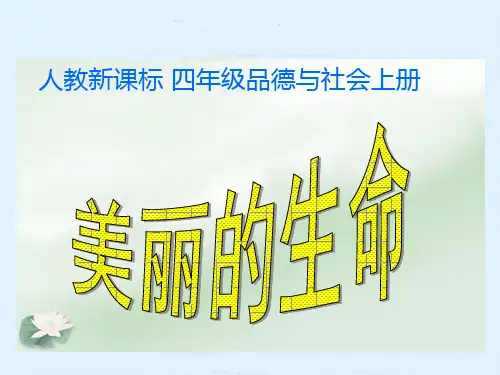 《美丽的生命》公开课PPT课件