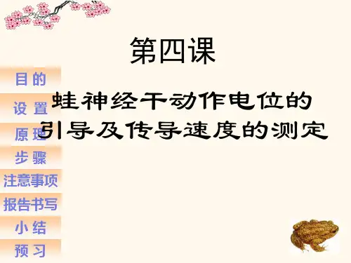 蛙神经干动作电位测定详解
