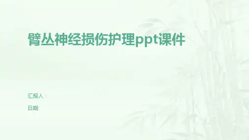 臂丛神经损伤护理ppt课件