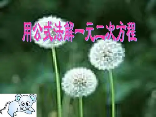 公式法解一元二次方程
